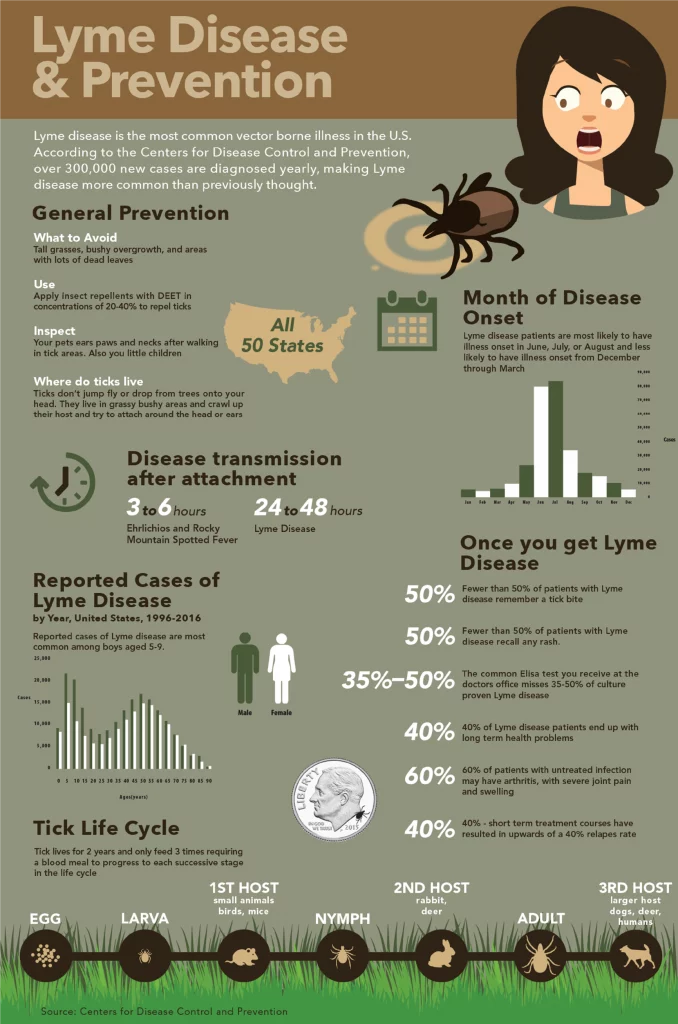Infographics and Explanatory Graphics